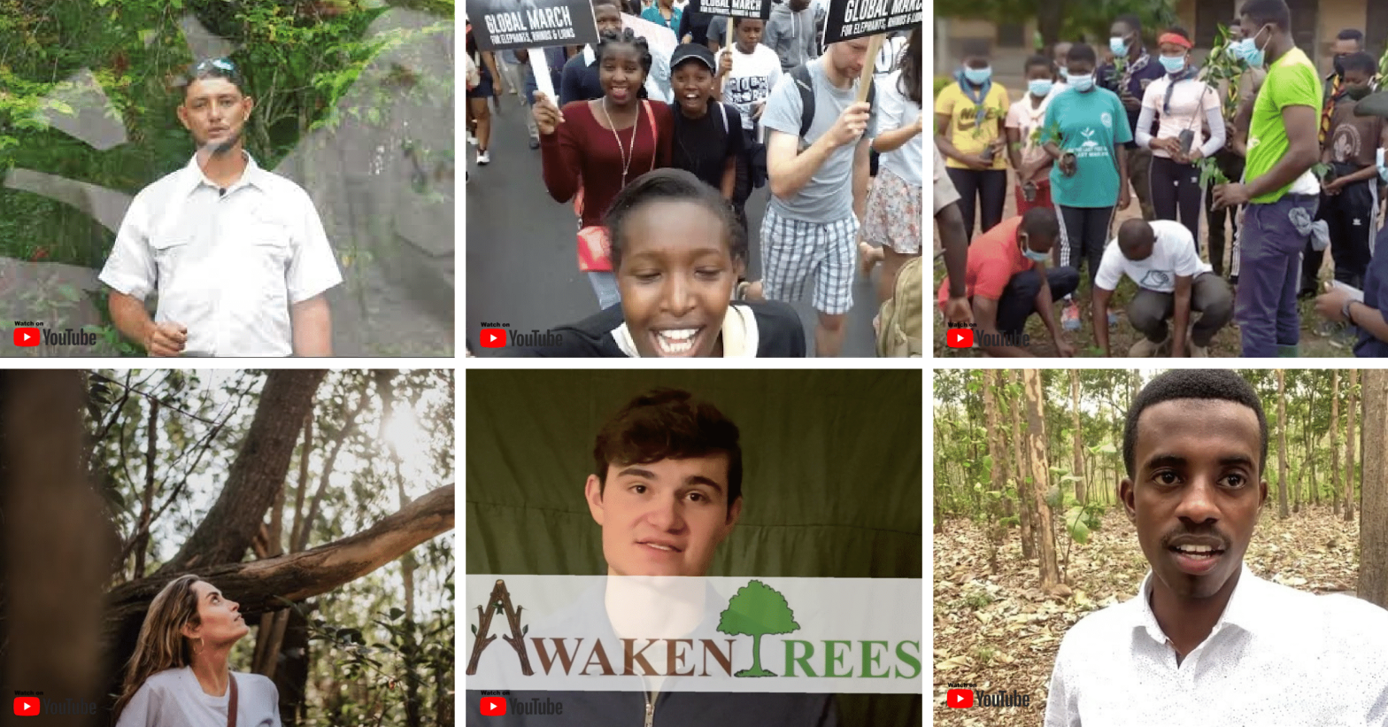 Announcing the WFC forest change maker winners